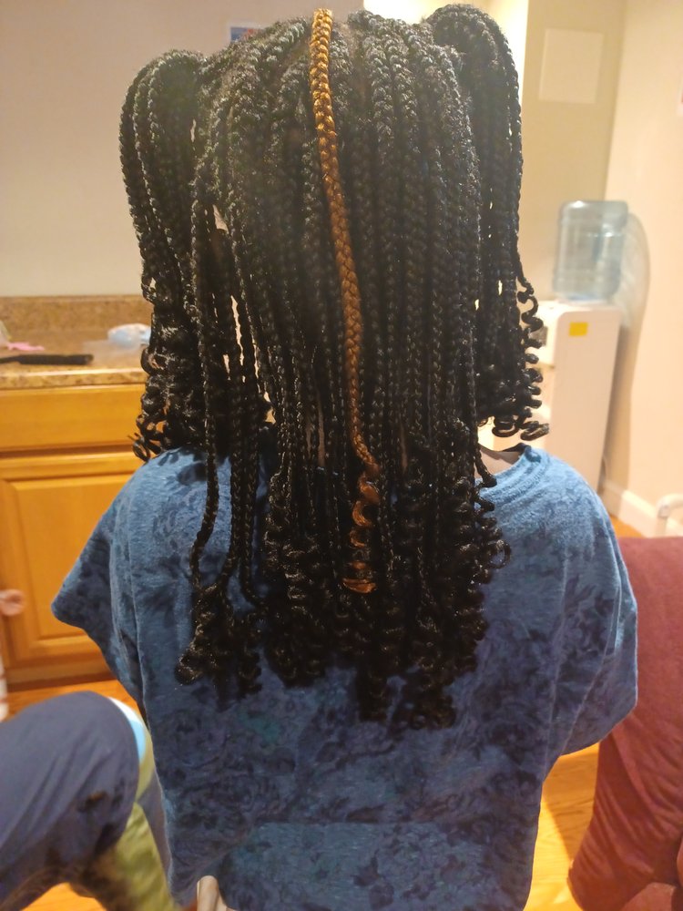 "Back view of long, dark and blonde mixed braids