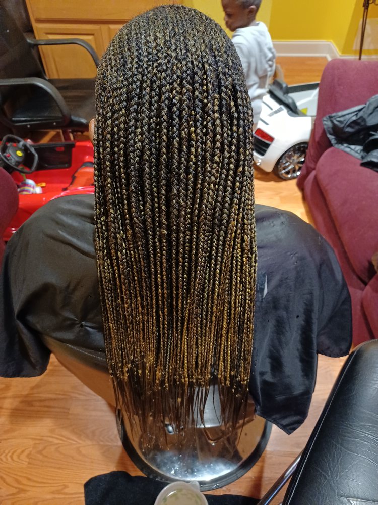 Back view of very long, thick, dark braids